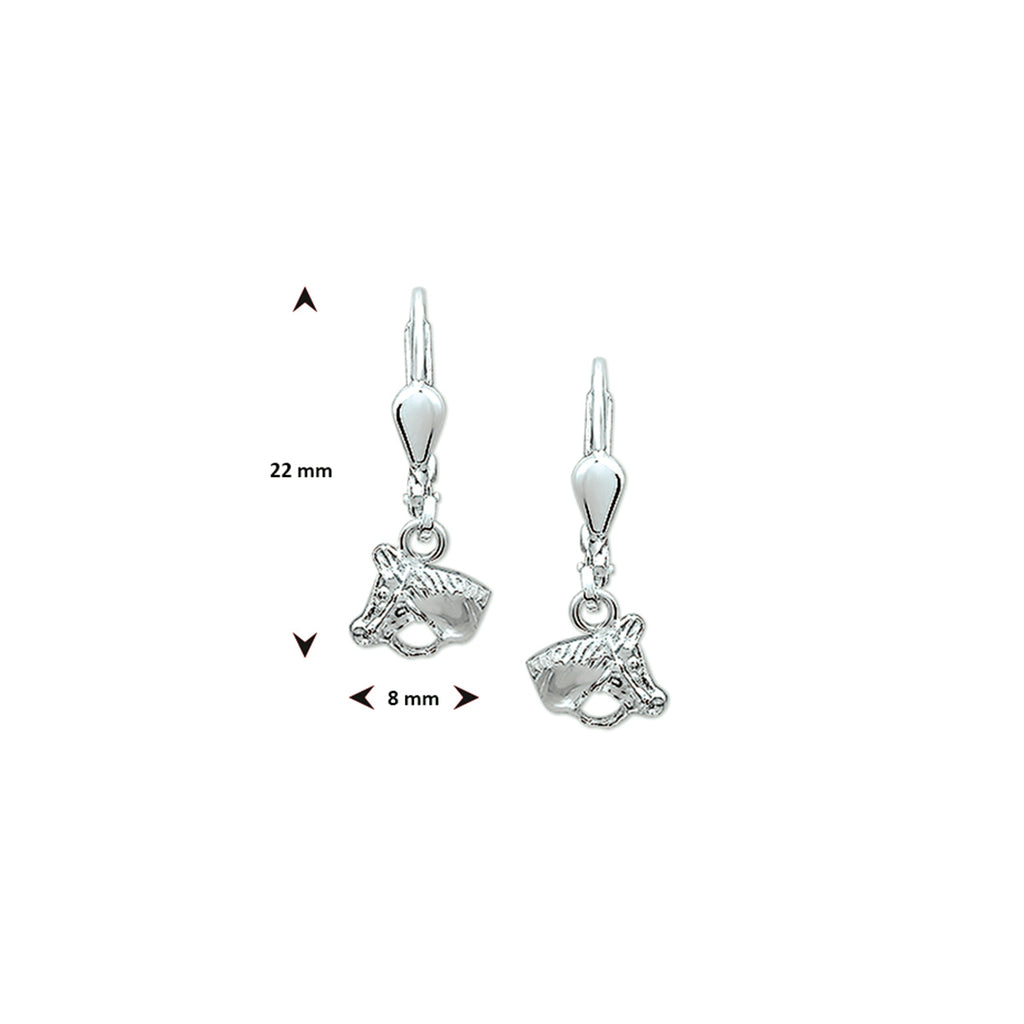 Zilver oorhangers