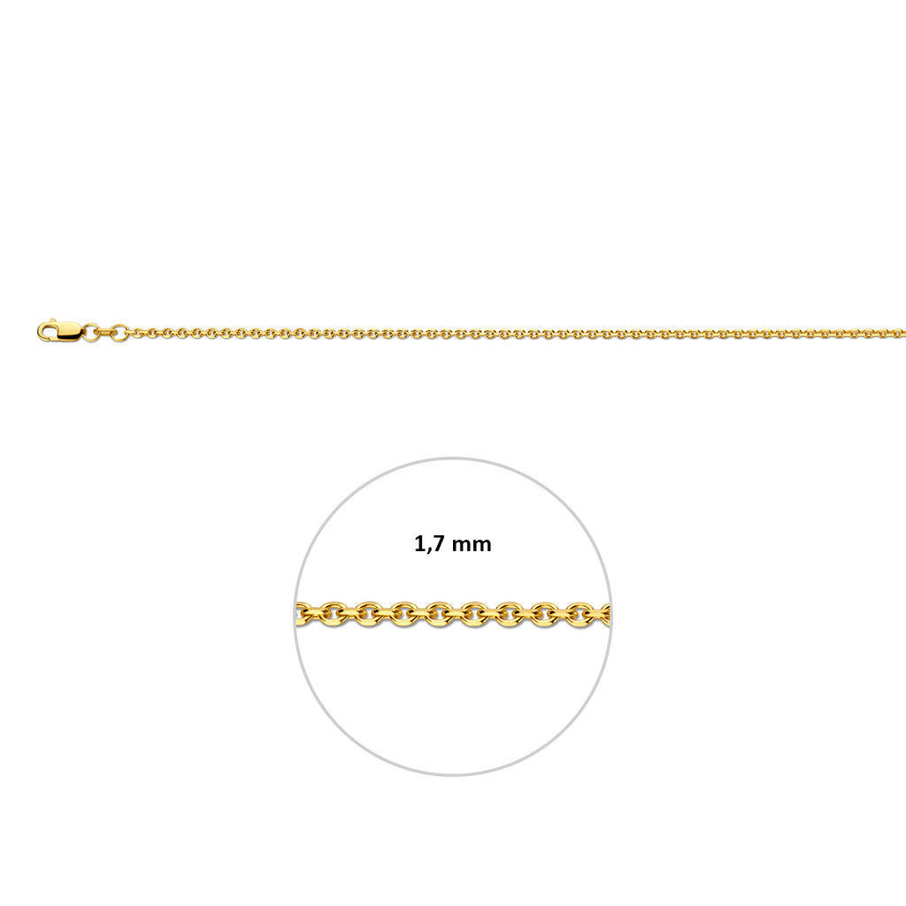 Collier anker schakel - goud