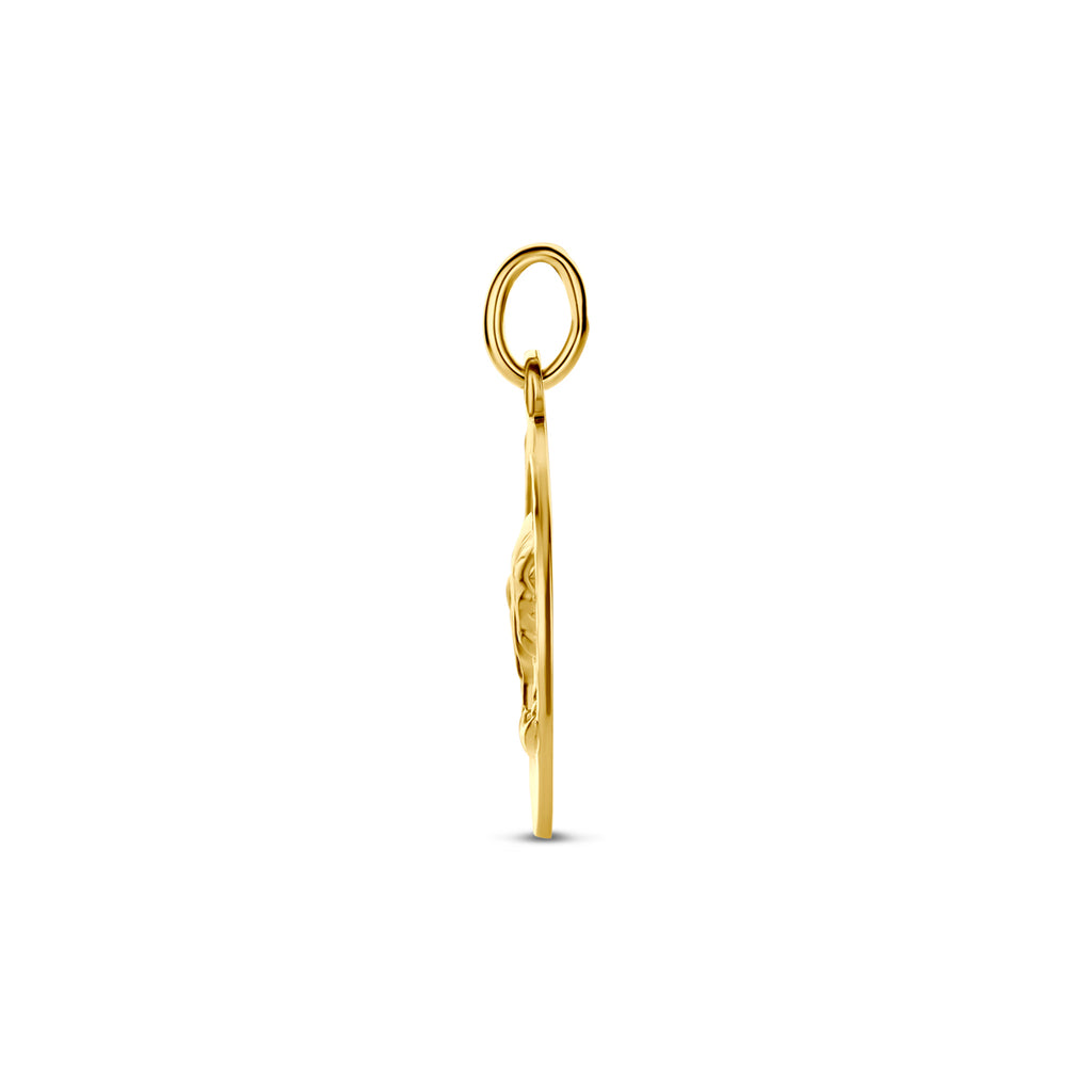 Hanger sterrenbeeld gediamanteerd
