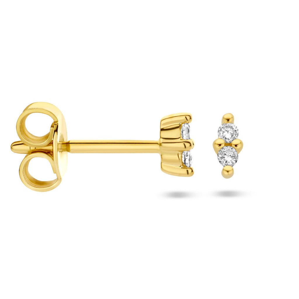 Oorknoppen diamant 0.04ct (2x 0.02ct) h p1