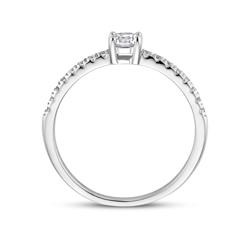 Ring zirkonia