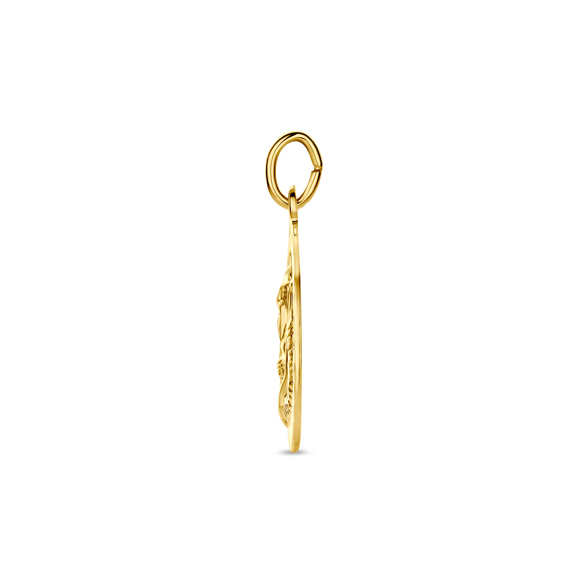 Hanger sterrenbeeld gediamanteerd