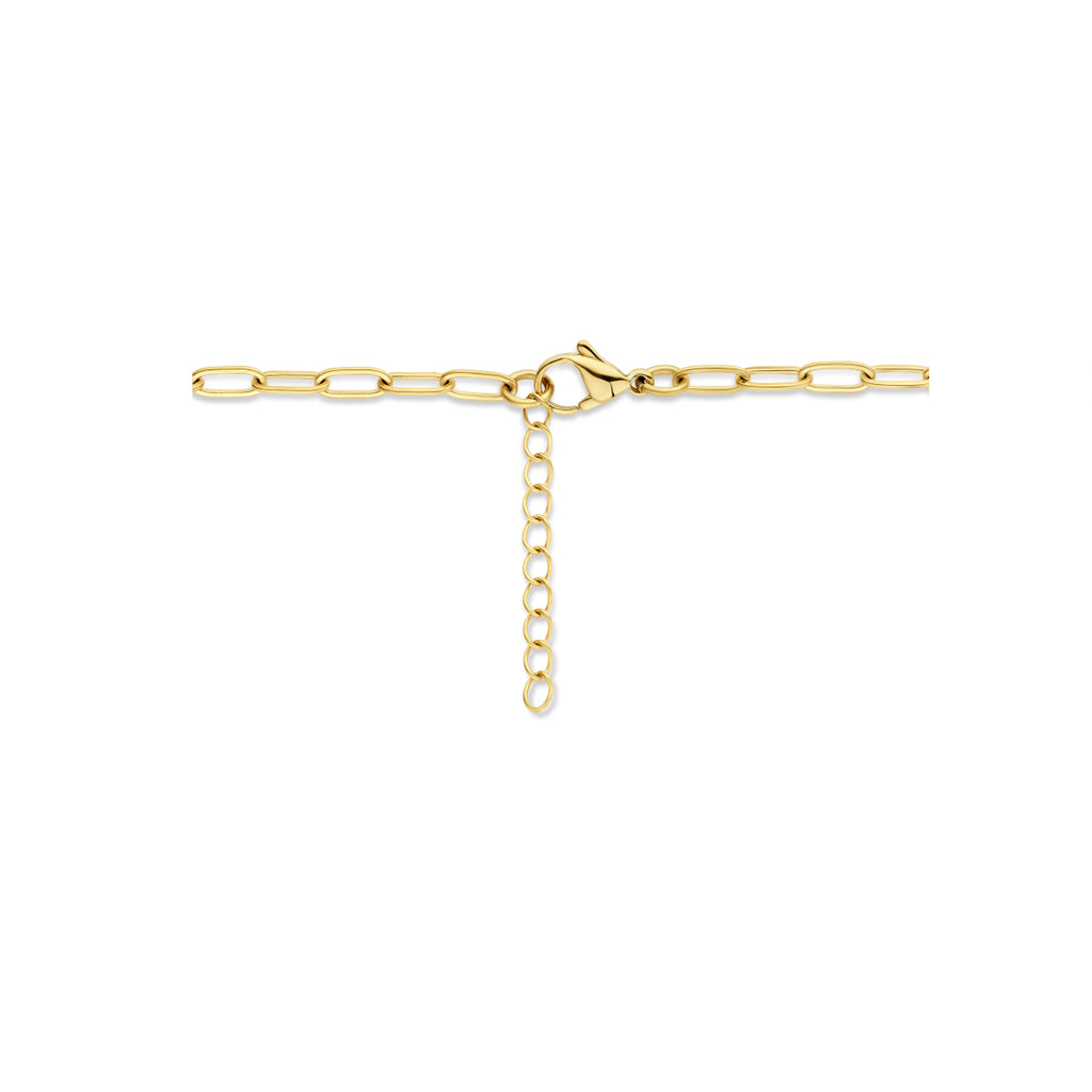 Collier paperclip platte buis 8 mm 42 + 3 cm ion plating