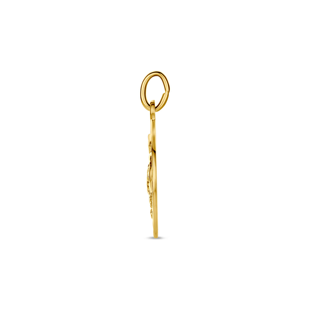 Hanger sterrenbeeld gediamanteerd