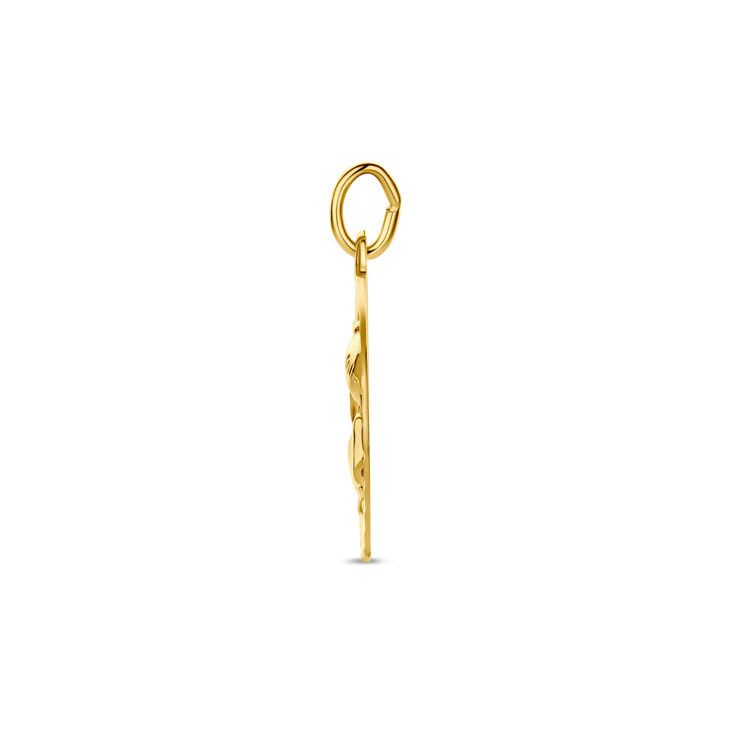 Hanger sterrenbeeld gediamanteerd