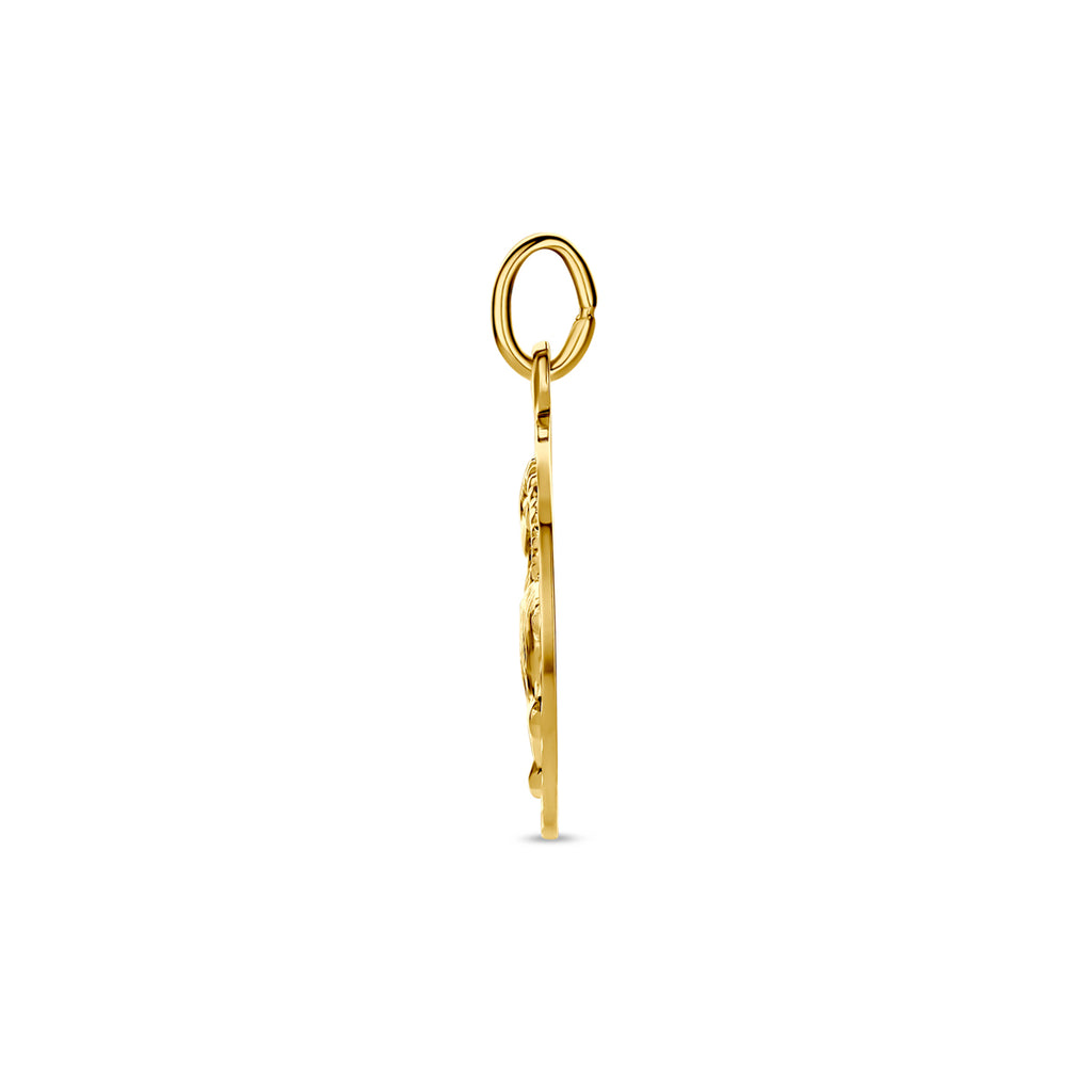 Hanger sterrenbeeld gediamanteerd