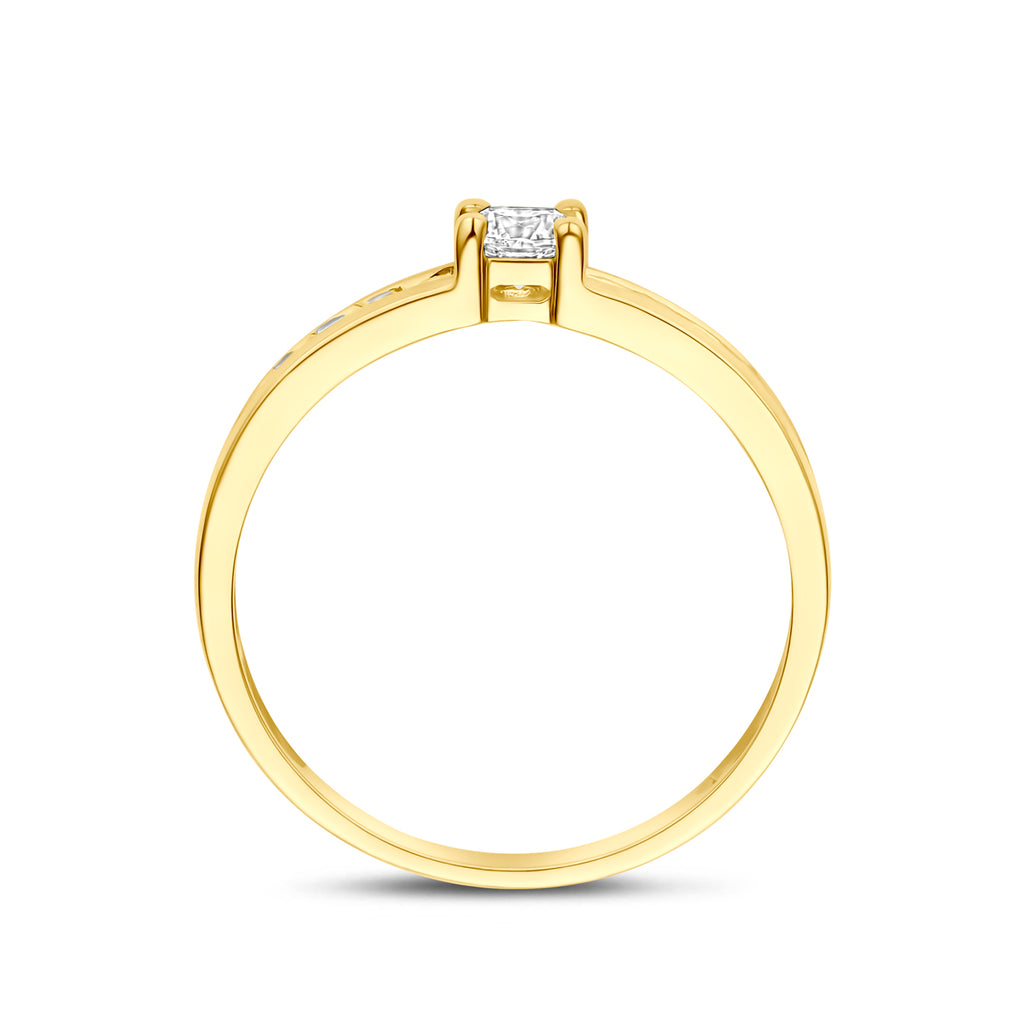 Ring zirkonia