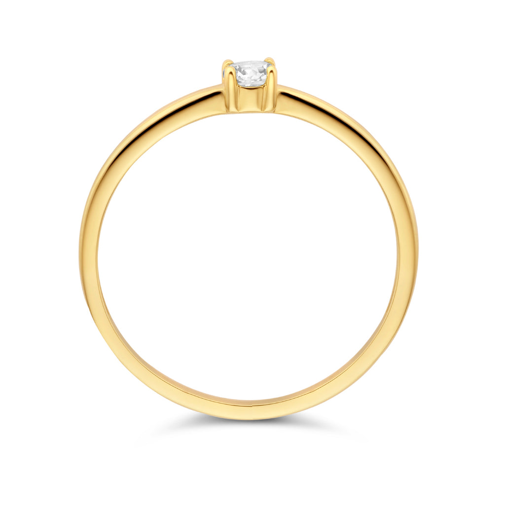 Ring zirkonia