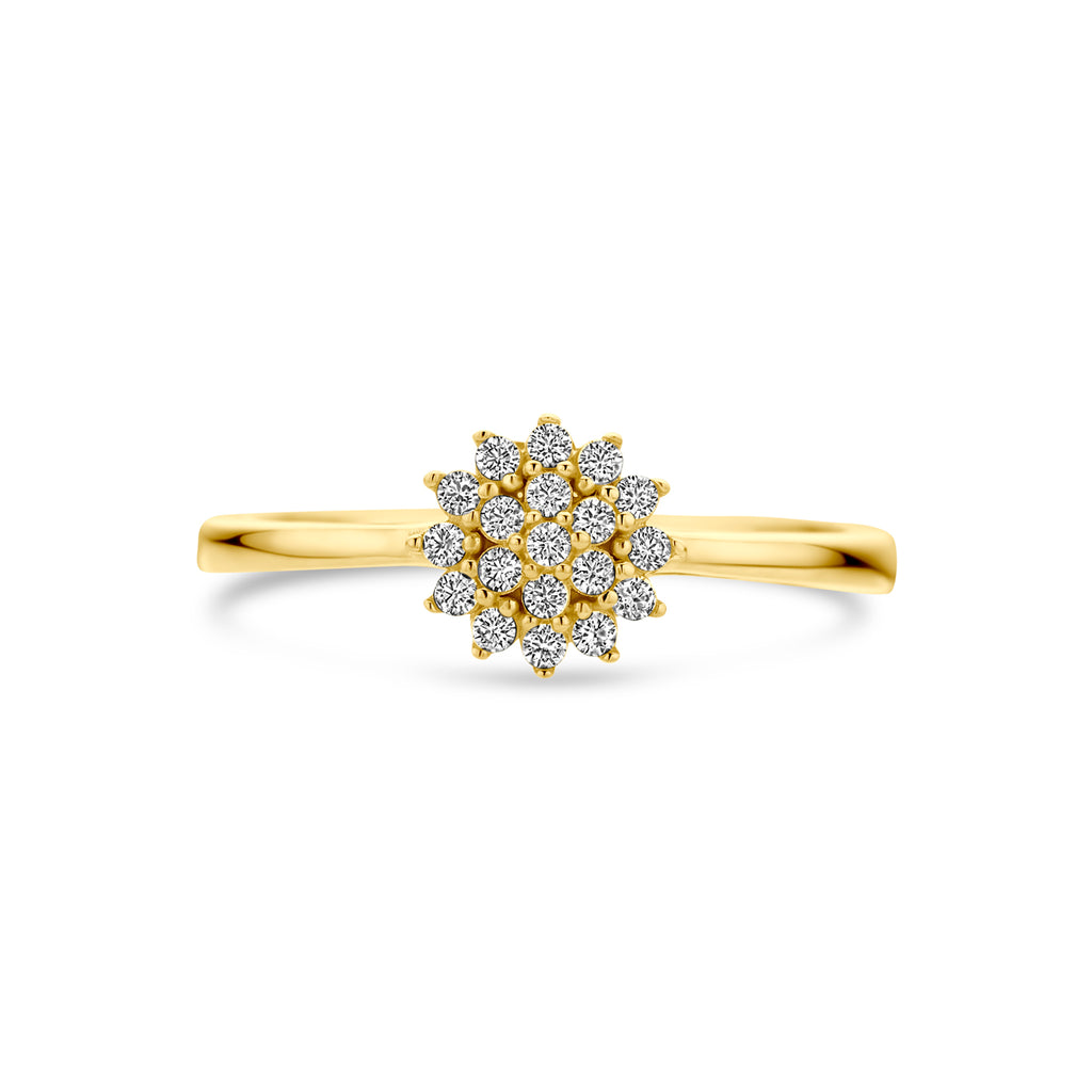 Ring zirkonia