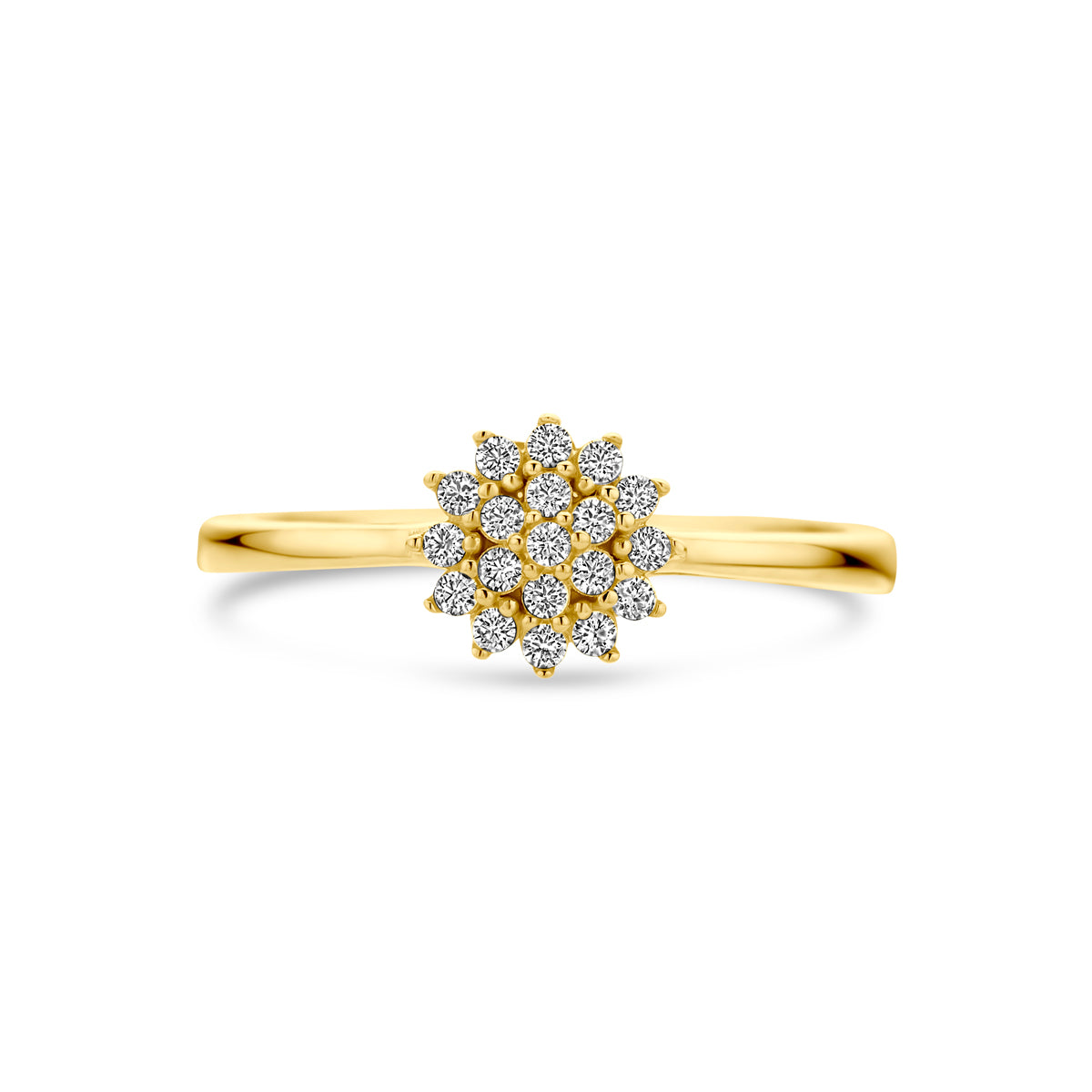Ring zirkonia