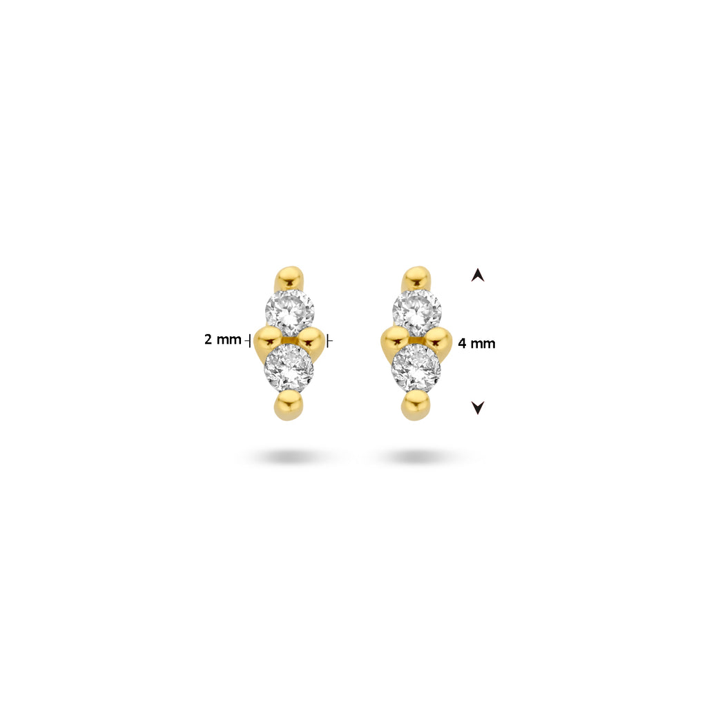 Oorknoppen diamant 0.04ct (2x 0.02ct) h p1
