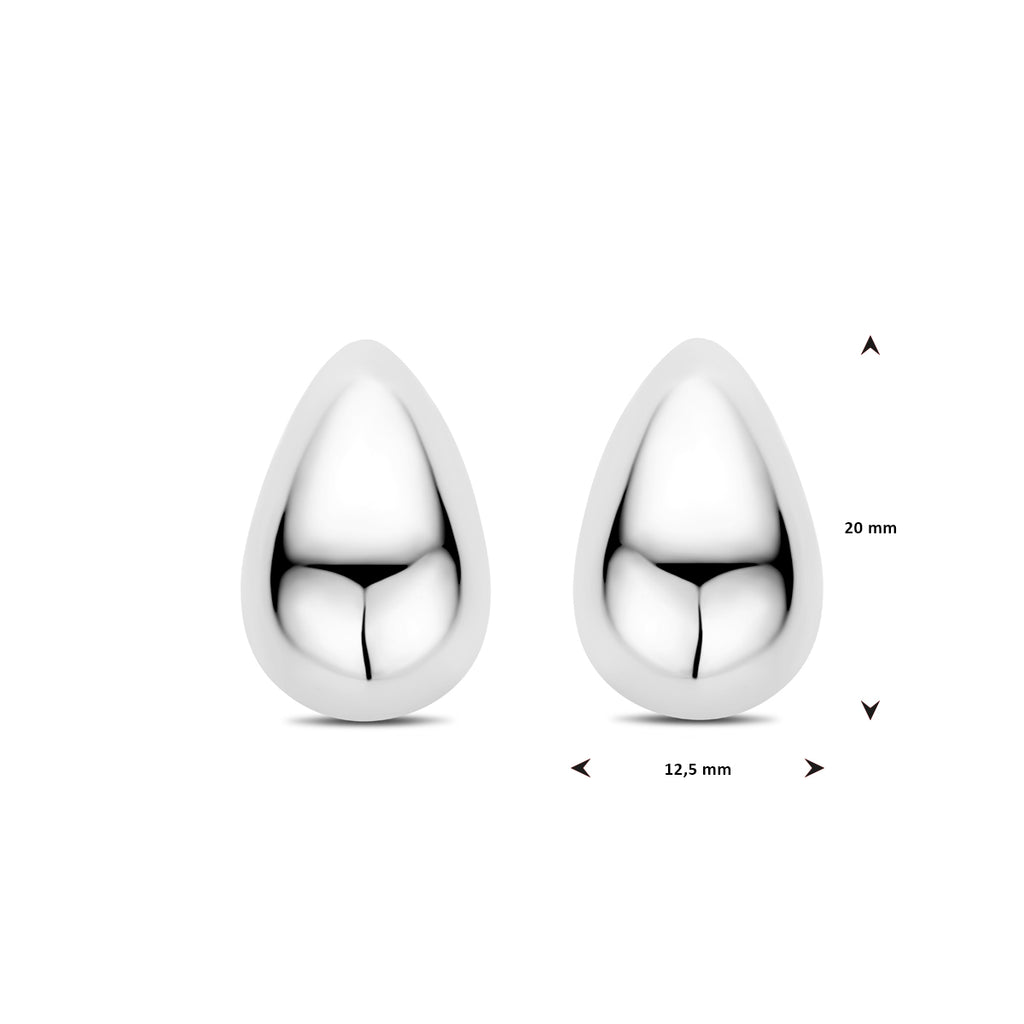 Zilver gerhodineerd oorknoppen