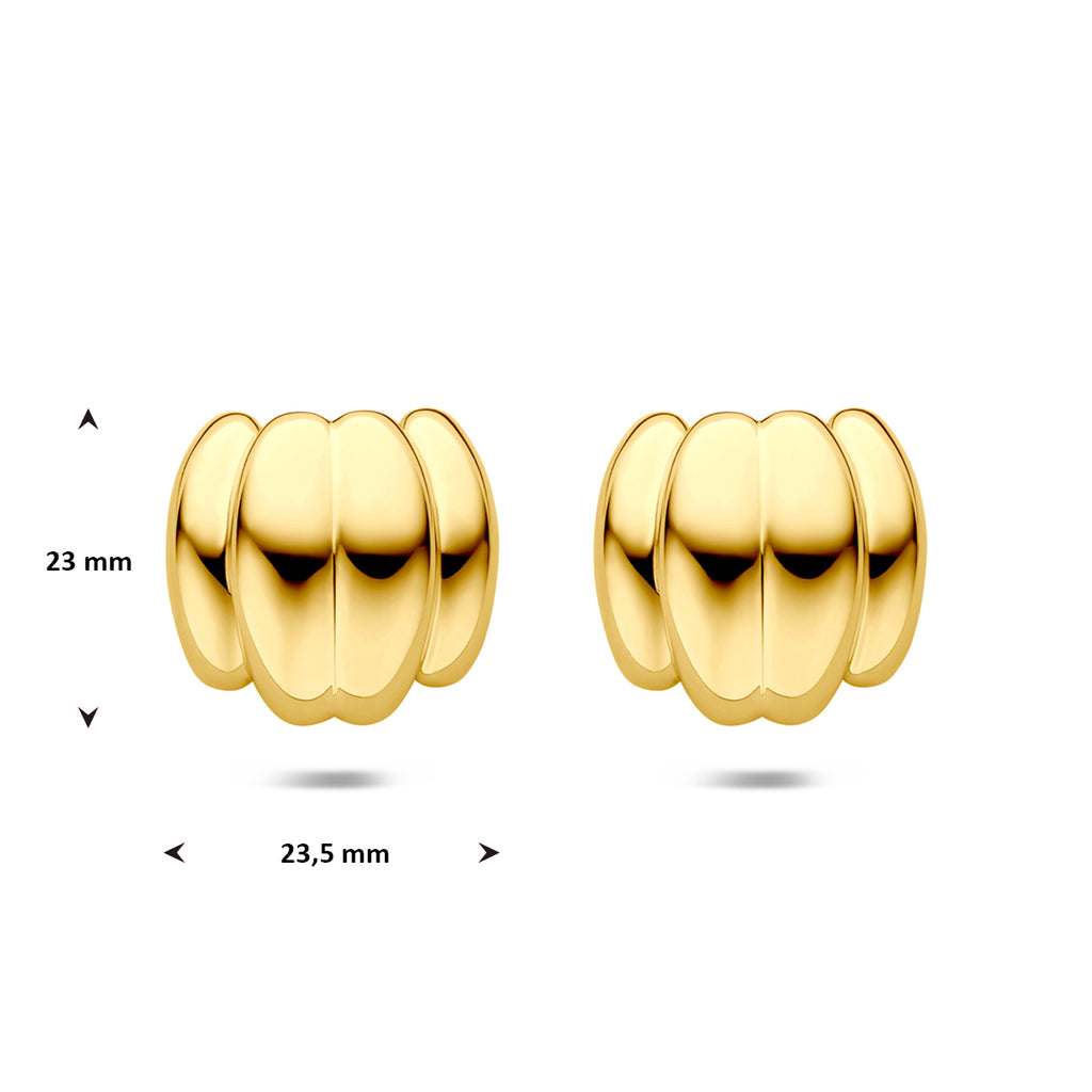 Oorknoppen ion plating 23 mm