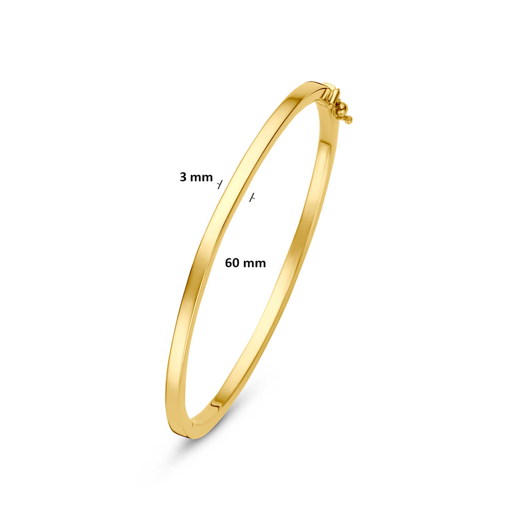 Bangle scharnier vlakke buis 3.0 x 60 mm