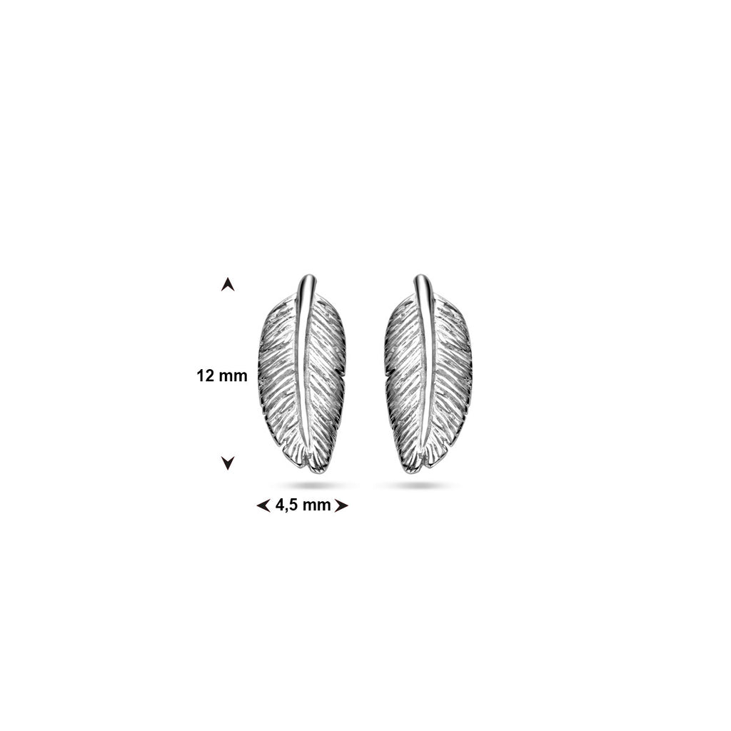 Oorstekers - zilver