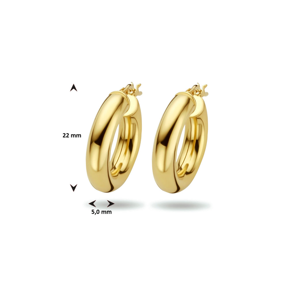 Oorringen ronde buis 5.0 mm 1 micron