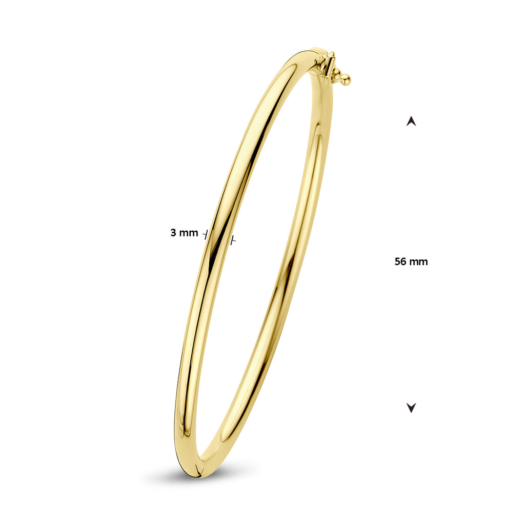 Bangle scharnier ronde buis