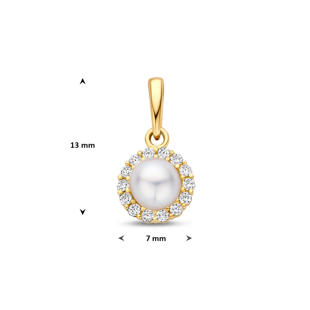 Hanger parel en zirkonia