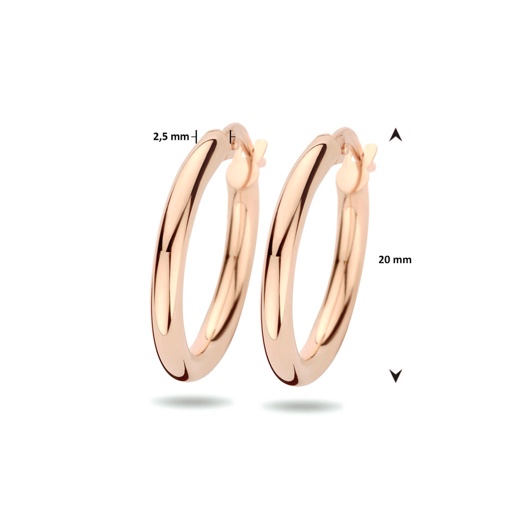 Oorringen 2.5 mm ronde buis