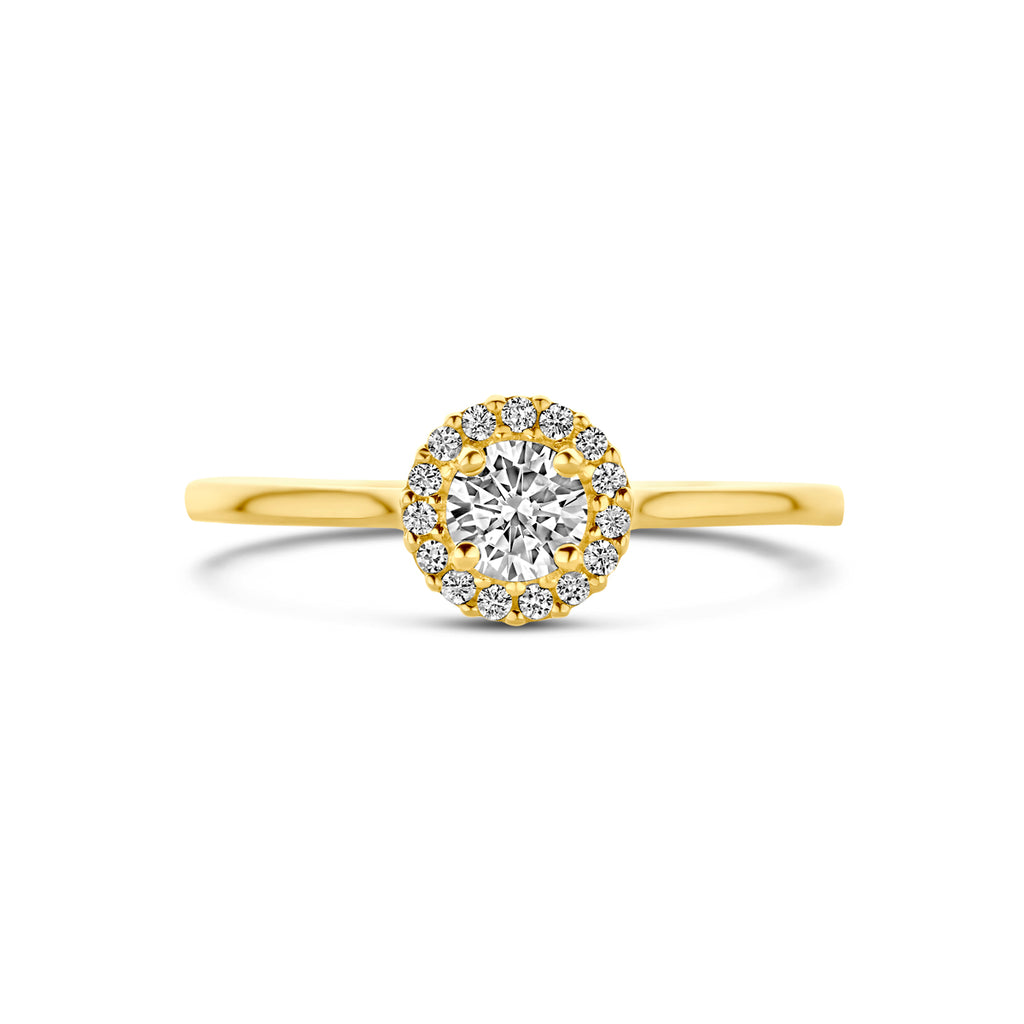Ring zirkonia