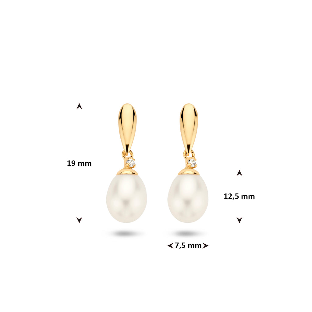 Oorhangers parel en zirkonia