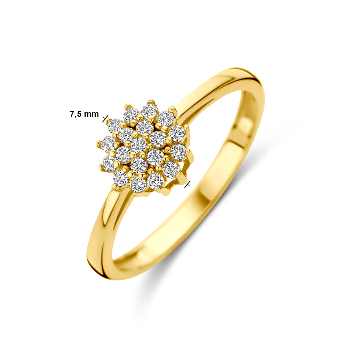 Ring zirkonia